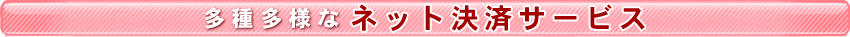 ¿��¿�ͤʥͥåȷ�ѥ����ӥ�