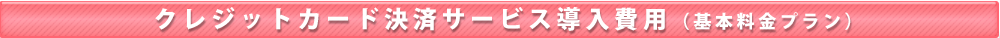 クレジットカード決済サービス導入費用(基本料金プラン)