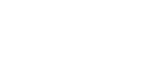 SBI ZEUS